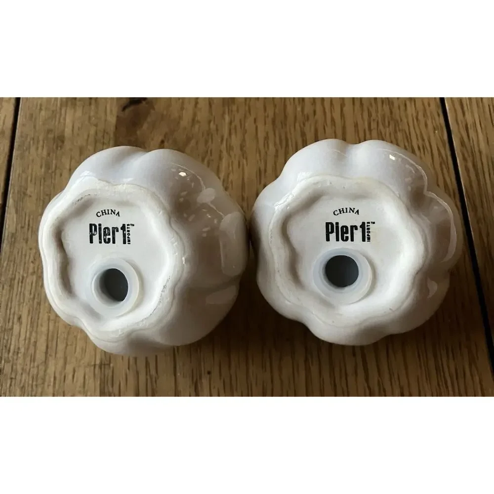 Pier 1 Imports Pumpkin Salt & Pepper Shakers Fall Thanksgiving Off White